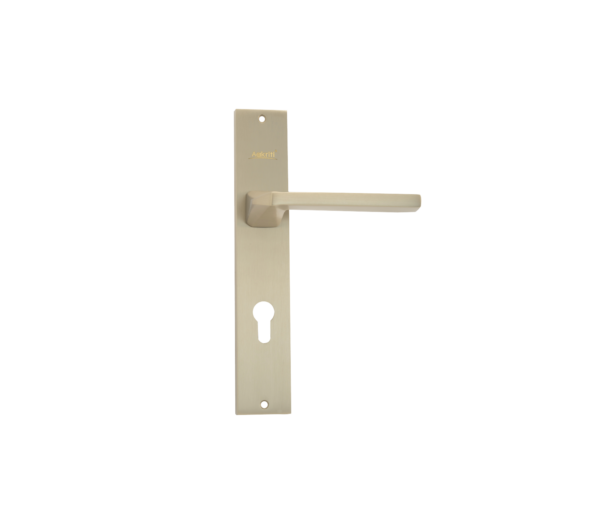 FB13 | Brass Mortise Handle